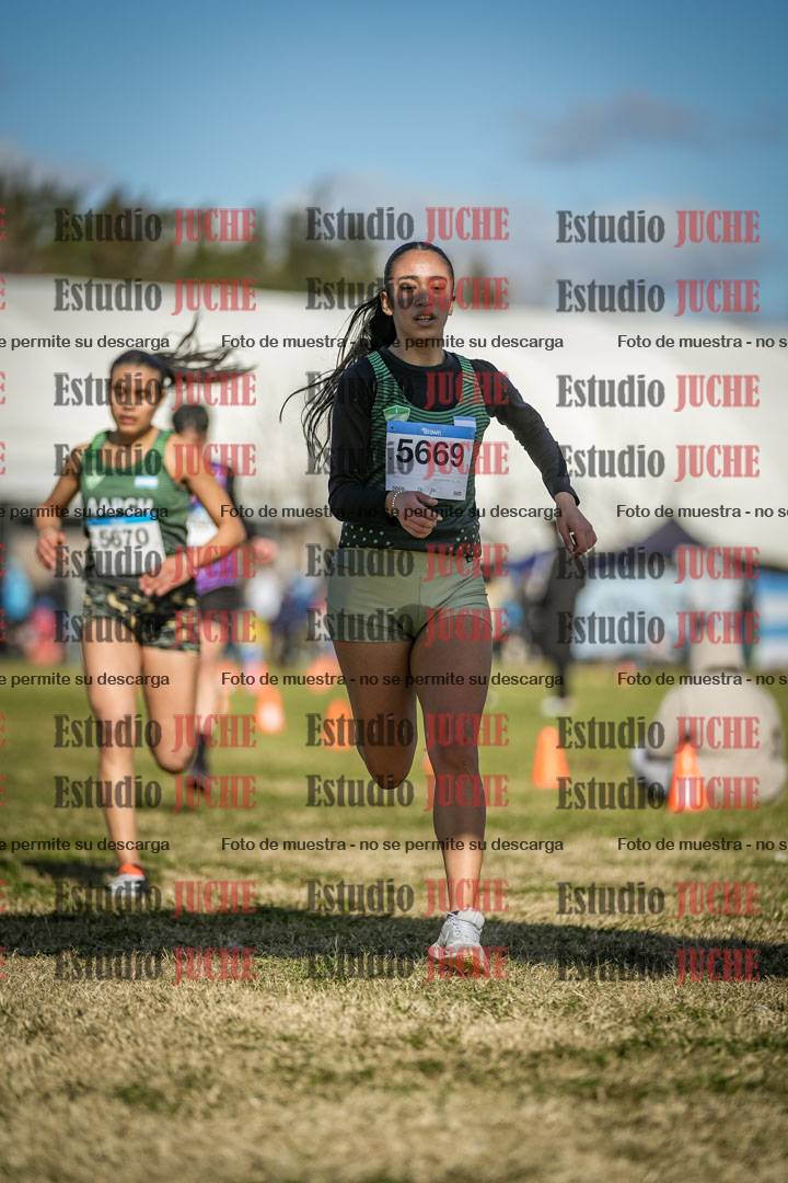Fotos de las llegadas