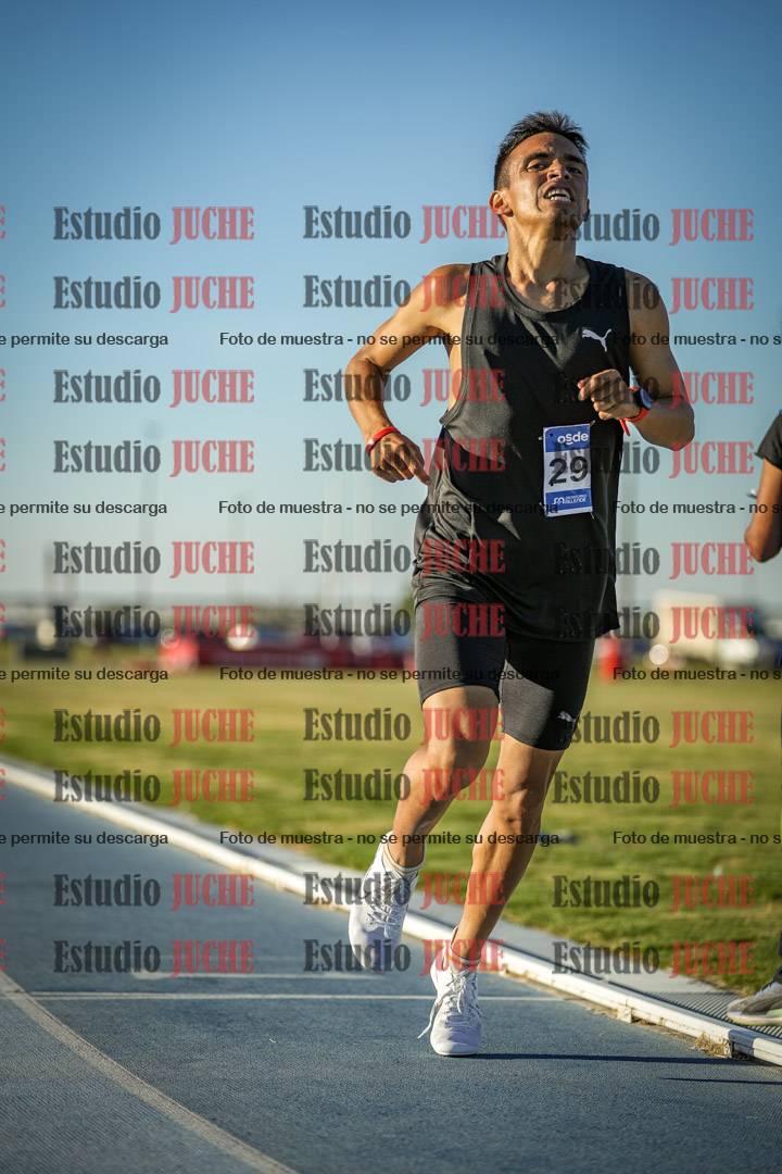 Fotos de los 1500 m llanos de varones