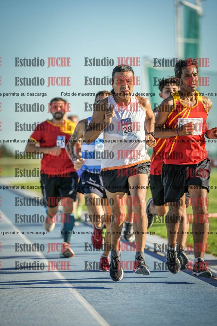 Fotos de los 3000 m llanos de varones