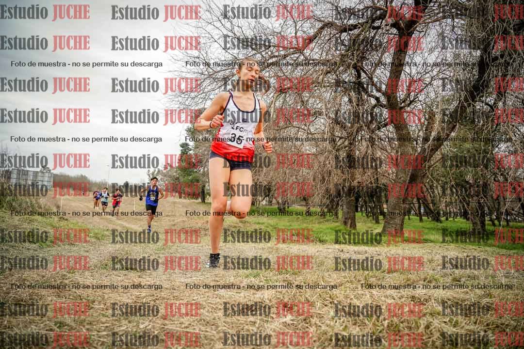 Fotos en el circuito