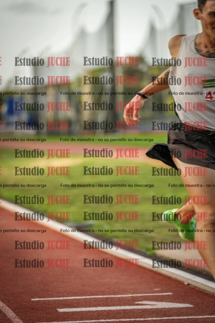 Fotos de los 3000 m llanos de varones