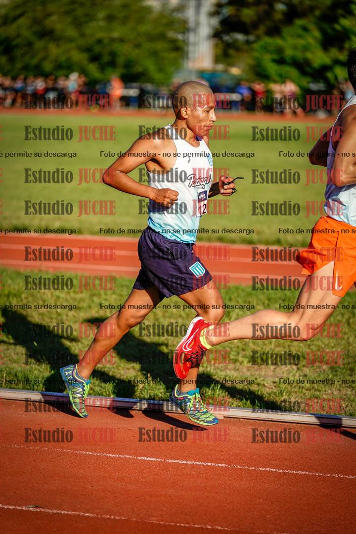 Fotos de los 3000 m llanos de varones