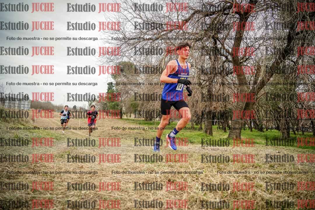 Fotos en el circuito