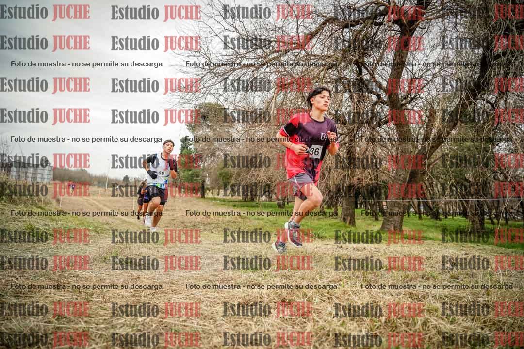 Fotos en el circuito