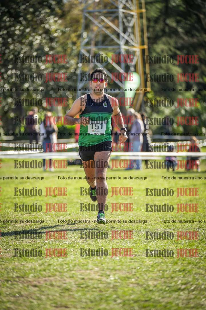 Fotos de la llegada del cross de 8000 m