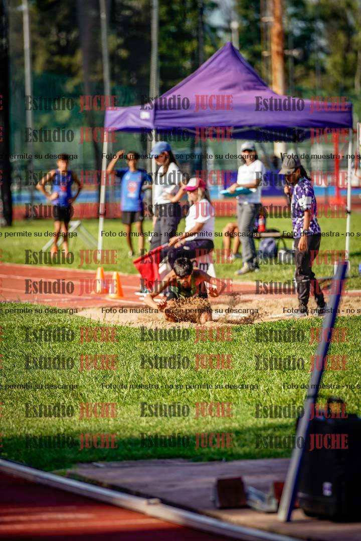Fotos del salto en largo de varones