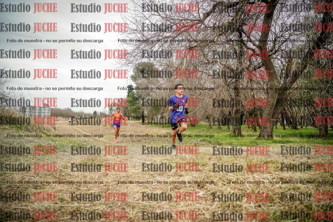 Fotos en el circuito