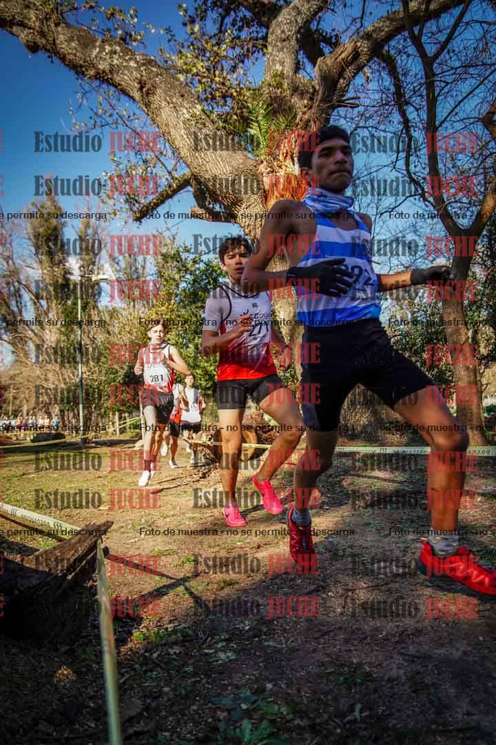 Fotos en el segundo punto del circuito