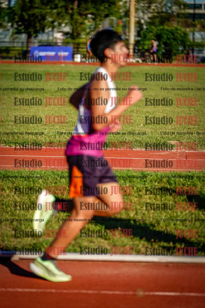 Fotos de los 3000 m llanos de varones