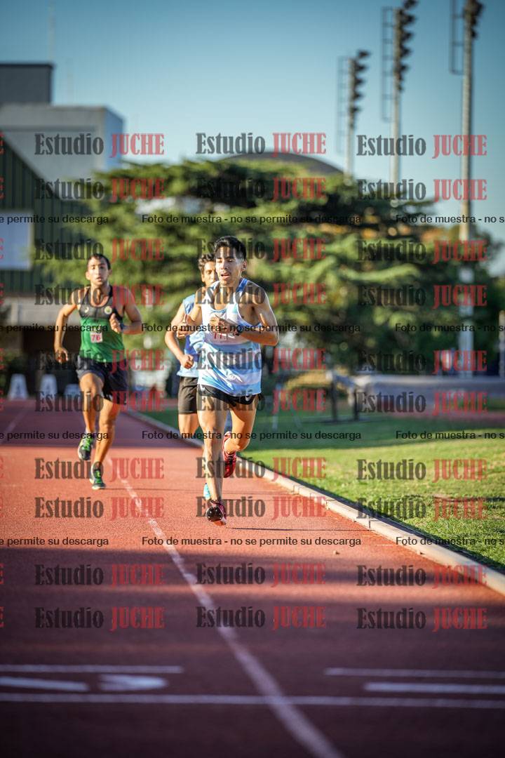 Fotos de los 3000 m llanos de varones