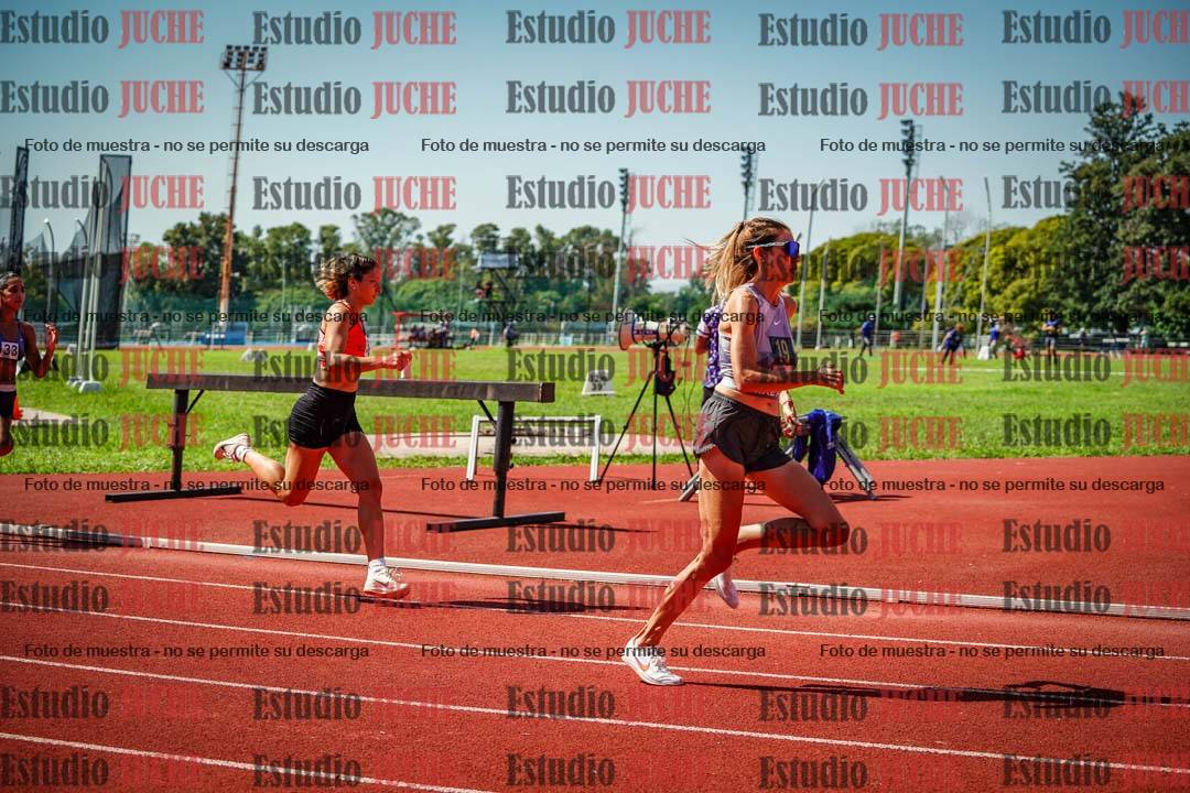 Fotos de los 800 m llanos de mujeres