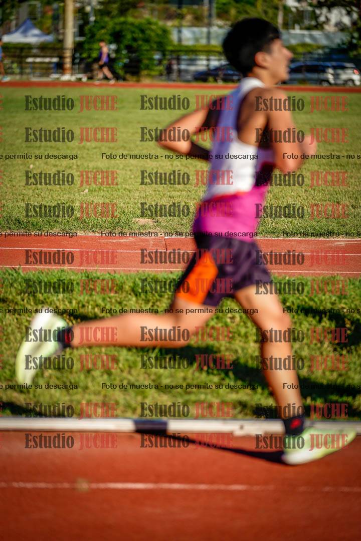 Fotos de los 3000 m llanos de varones