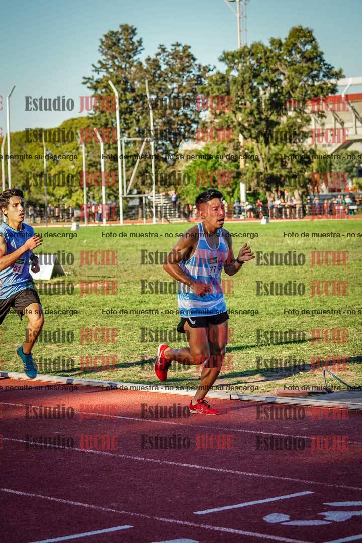 Fotos de los 3000 m llanos de varones
