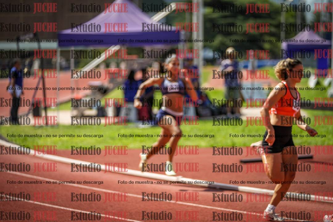 Fotos de los 800 m llanos de mujeres