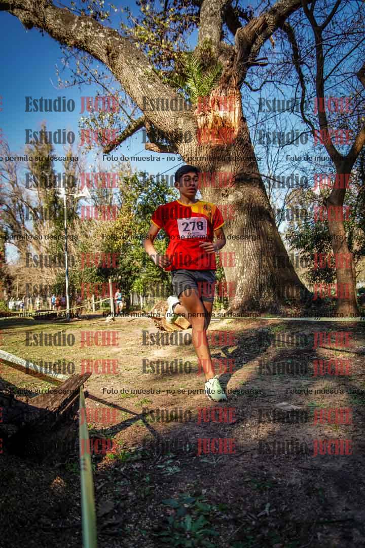Fotos en el segundo punto del circuito