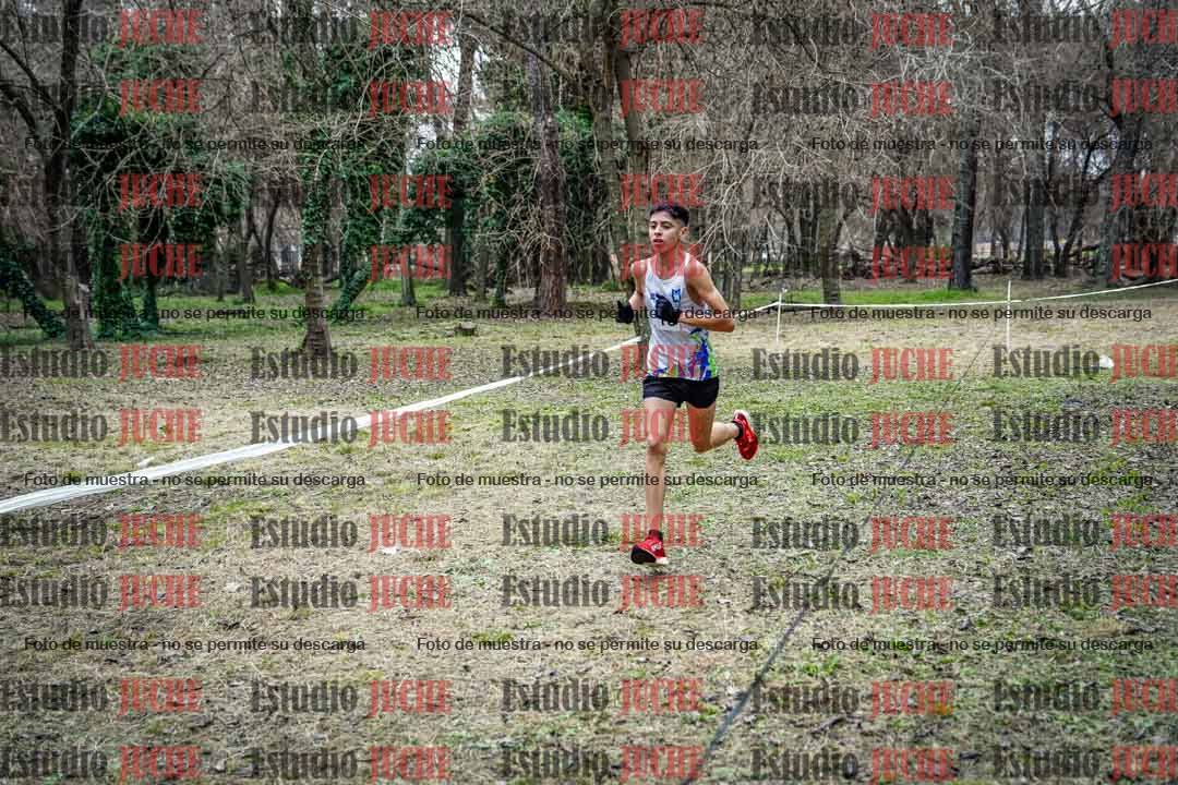 Fotos en el circuito
