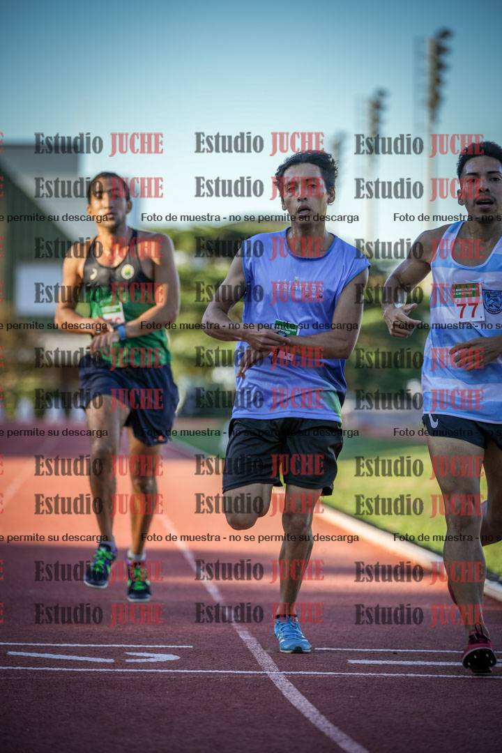 Fotos de los 3000 m llanos de varones