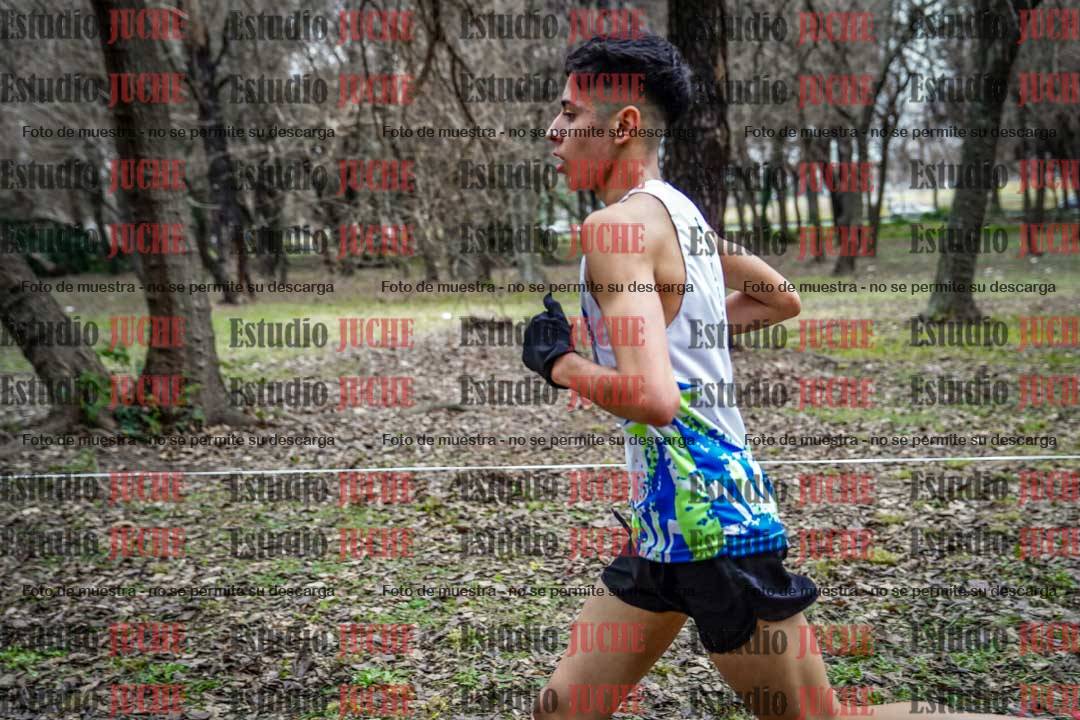 Fotos en el circuito