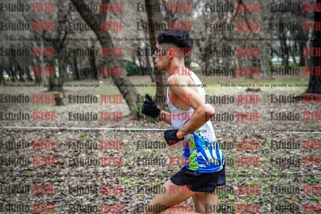 Fotos en el circuito