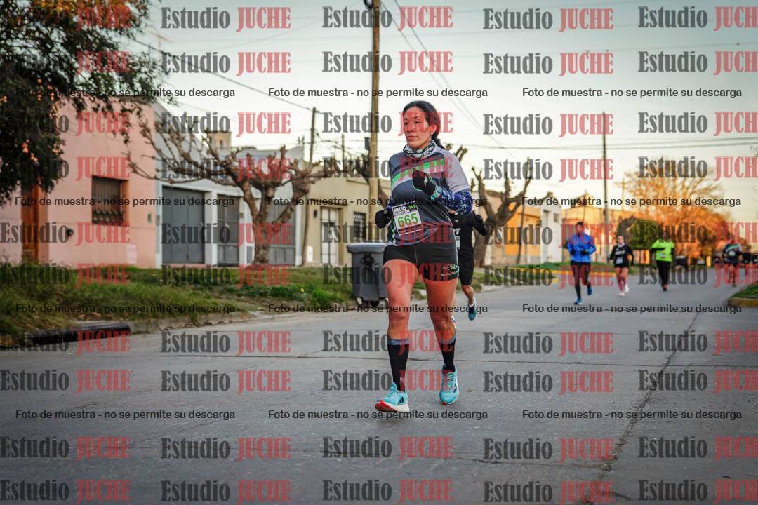 Fotos en el circuito - punto 2