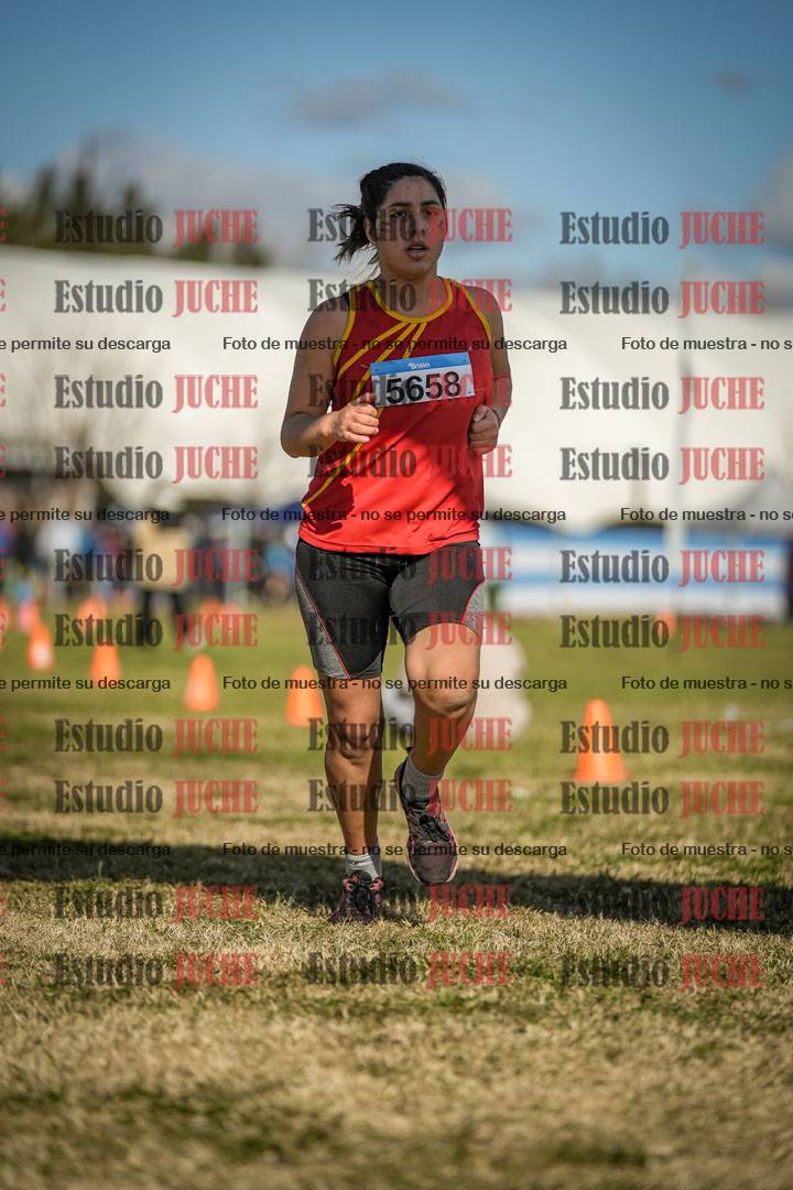 Fotos de las llegadas
