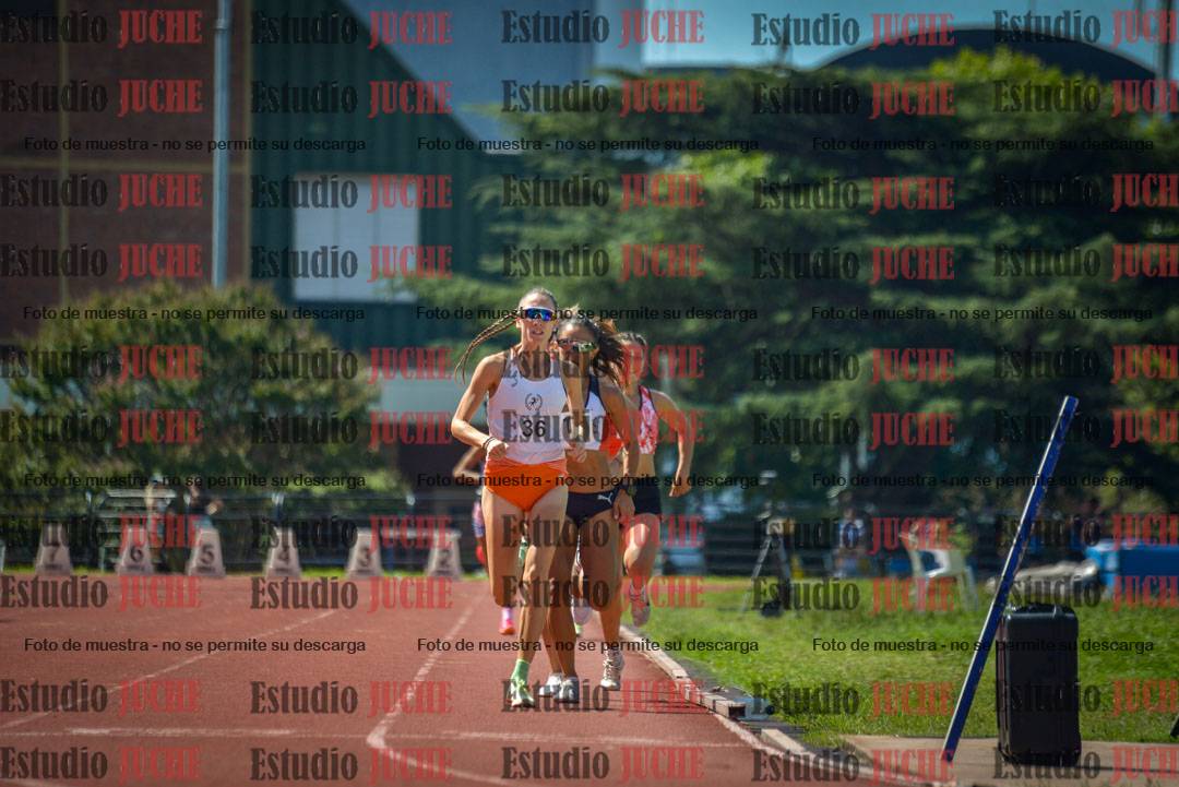 Fotos de los 800 m llanos de mujeres