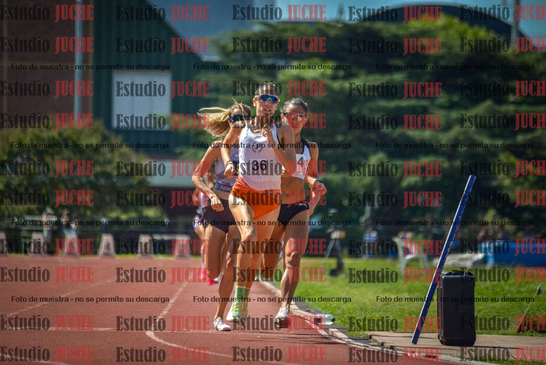 Fotos de los 800 m llanos de mujeres
