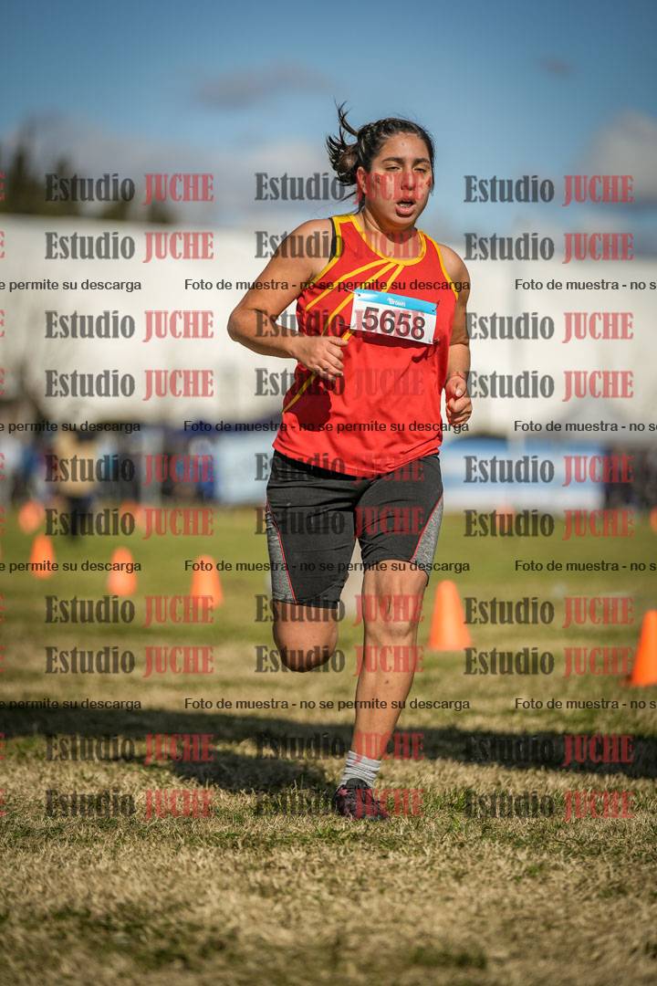 Fotos de las llegadas