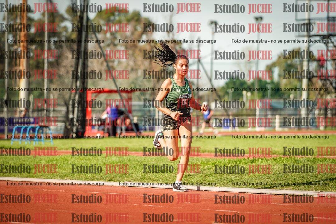 Fotos de los 5000 m llanos de mujeres y varones