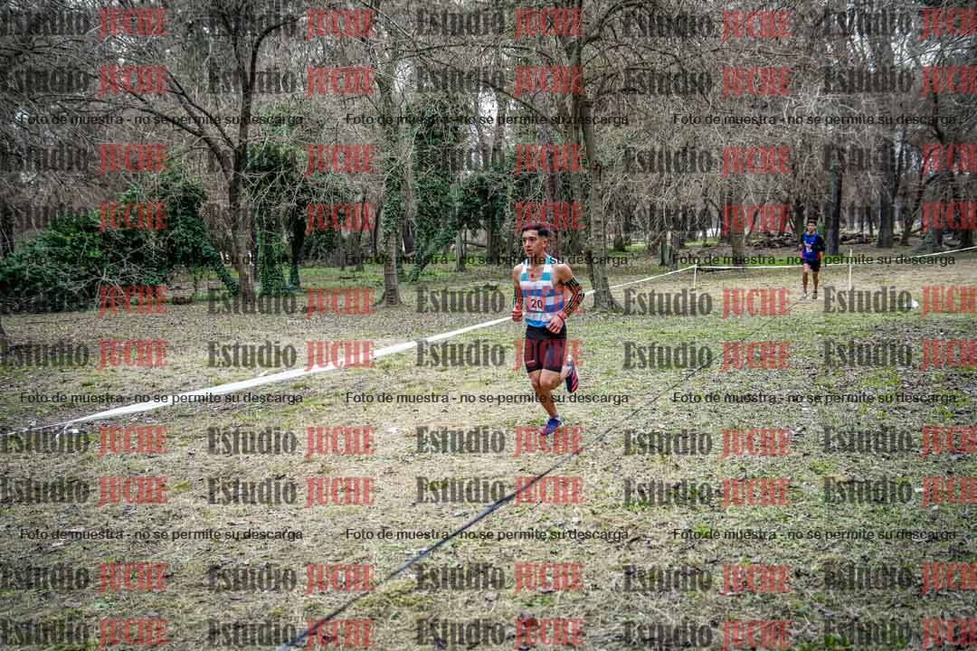 Fotos en el circuito