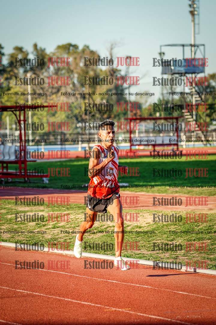 Fotos de los 3000 m llanos de varones