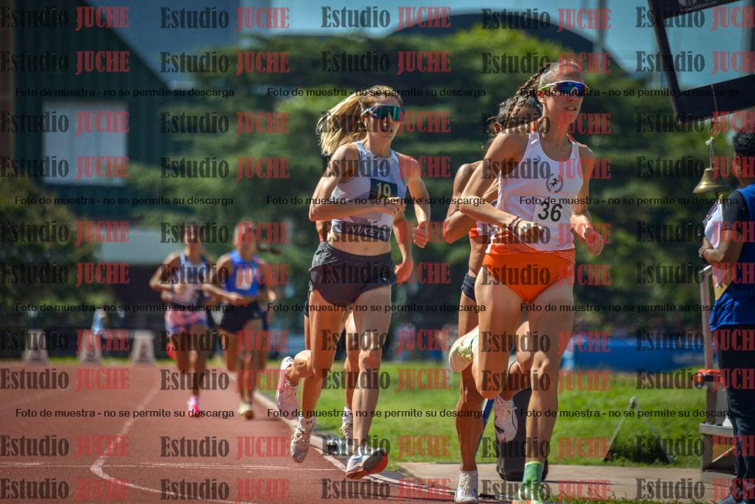 Fotos de los 800 m llanos de mujeres