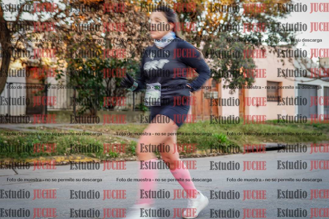 Fotos en el circuito - punto 2