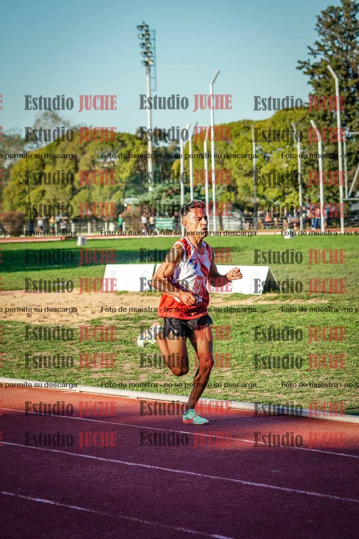 Fotos de los 3000 m llanos de varones