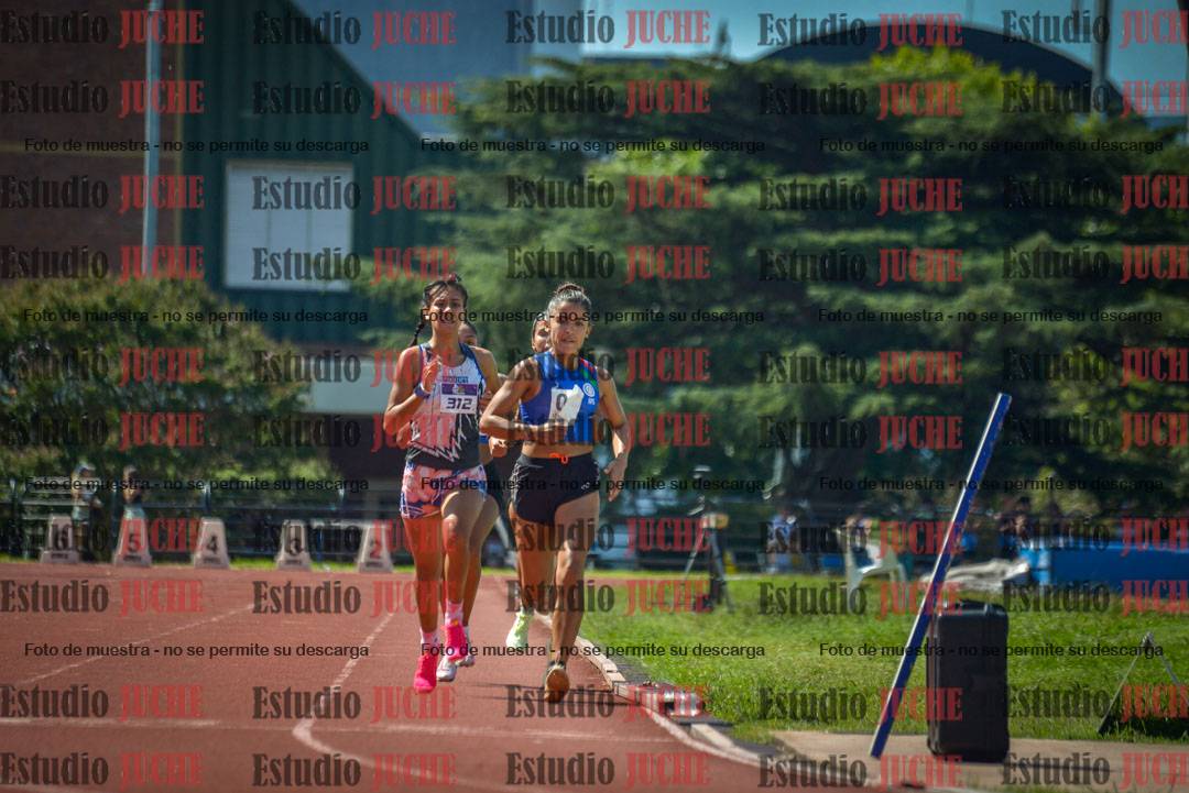 Fotos de los 800 m llanos de mujeres