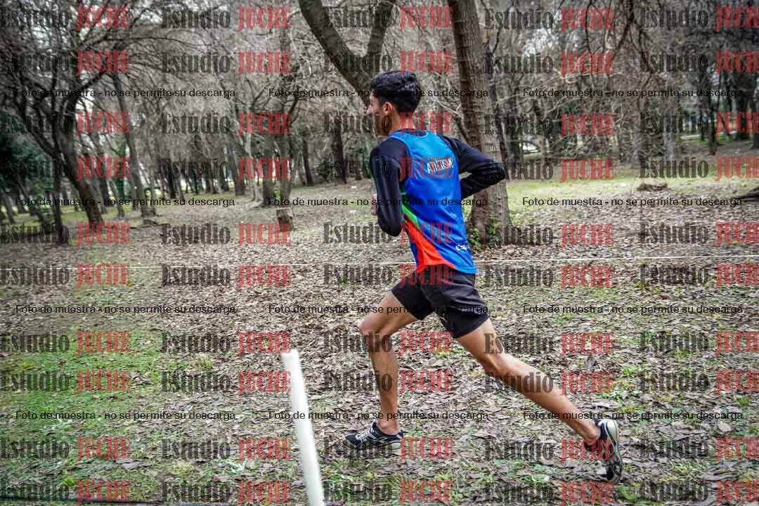 Fotos en el circuito
