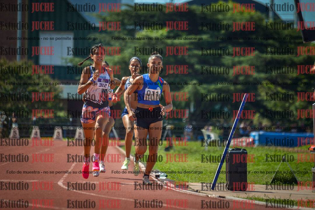 Fotos de los 800 m llanos de mujeres