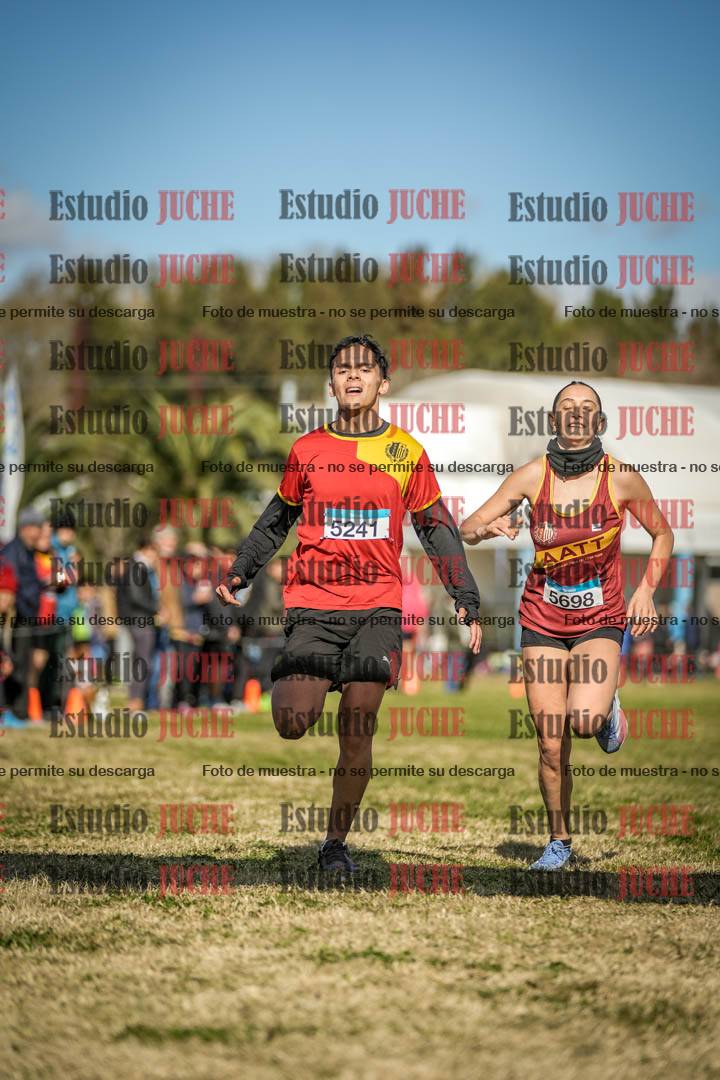Fotos de las llegadas