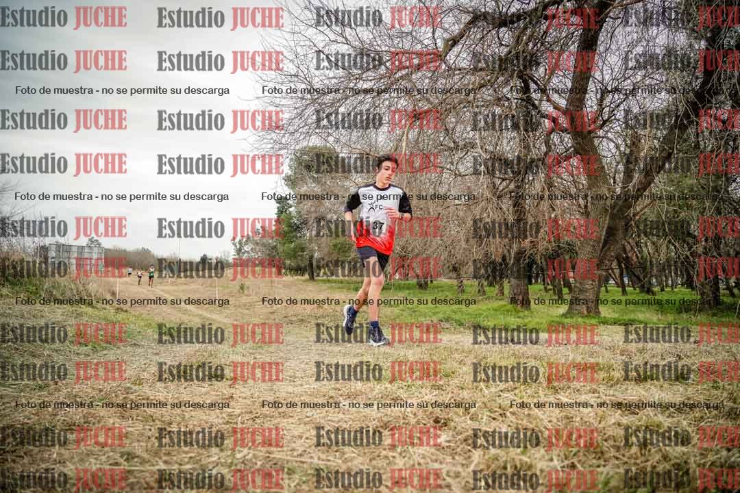 Fotos en el circuito
