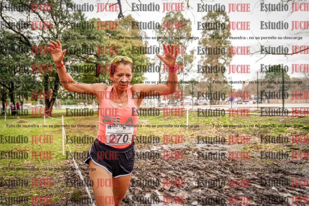 Fotos en el circuito