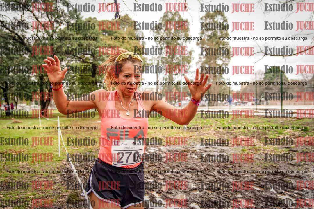 Fotos en el circuito