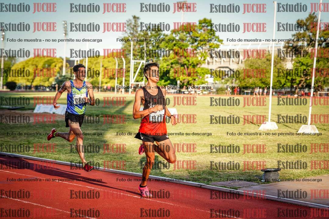 Fotos de los 3000 m llanos de varones
