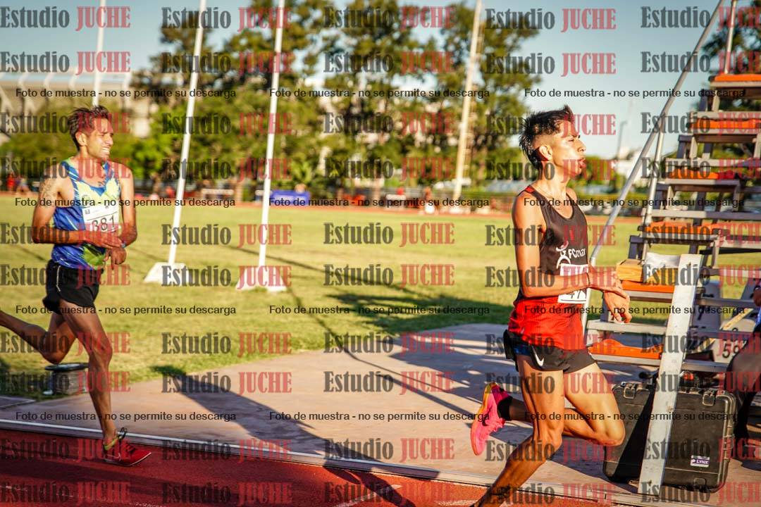 Fotos de los 3000 m llanos de varones