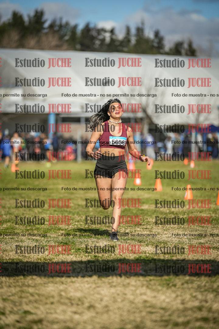 Fotos de las llegadas