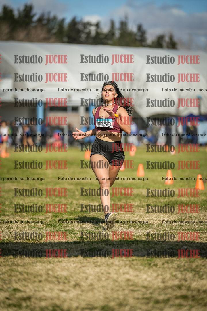 Fotos de las llegadas