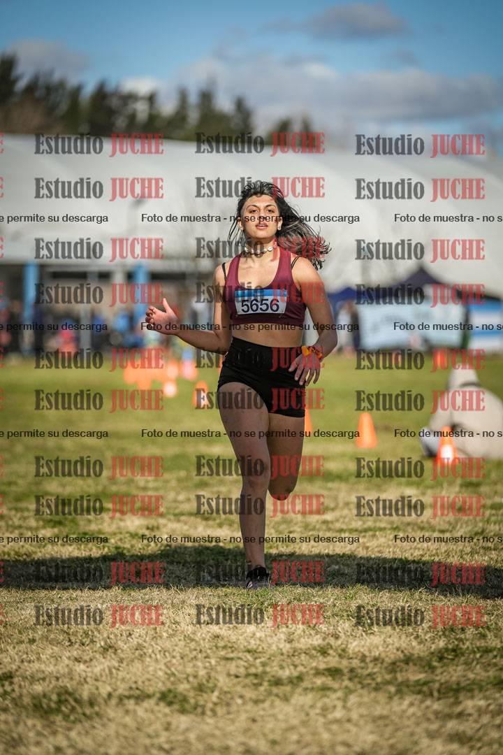 Fotos de las llegadas