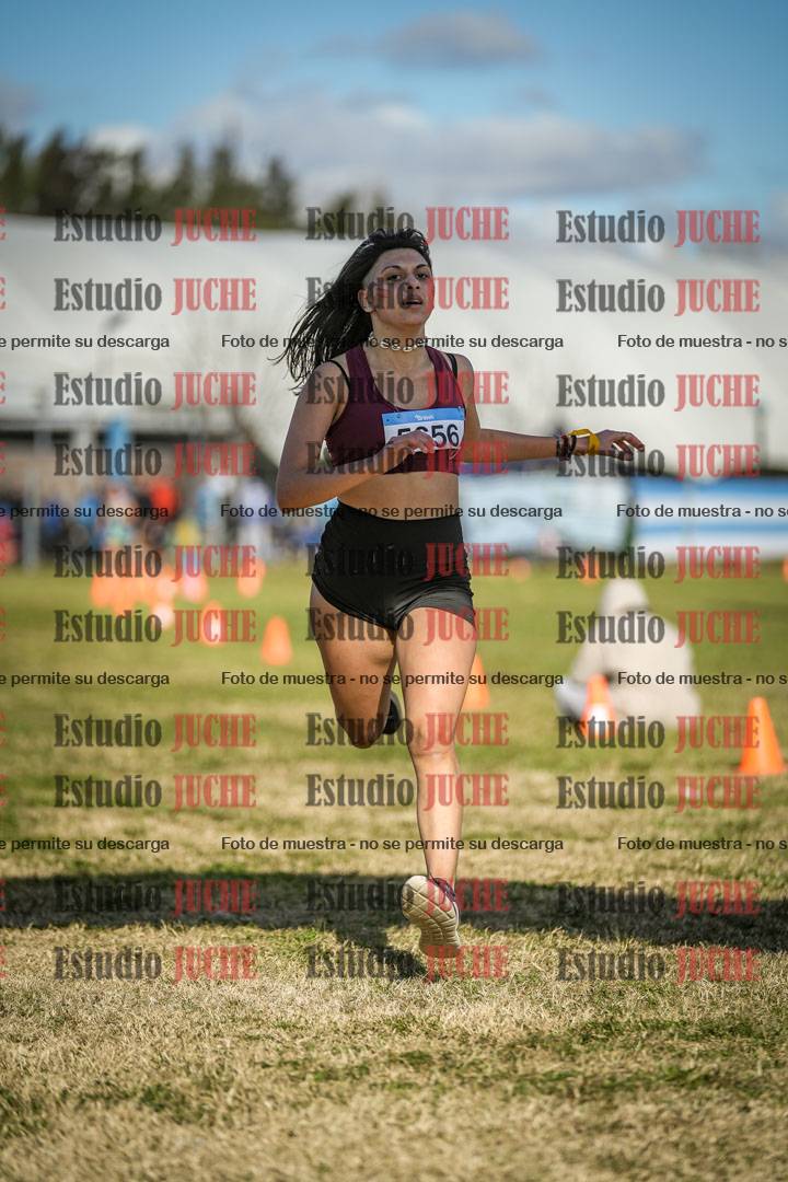 Fotos de las llegadas