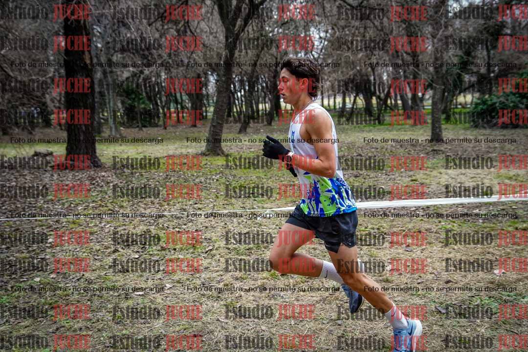Fotos en el circuito