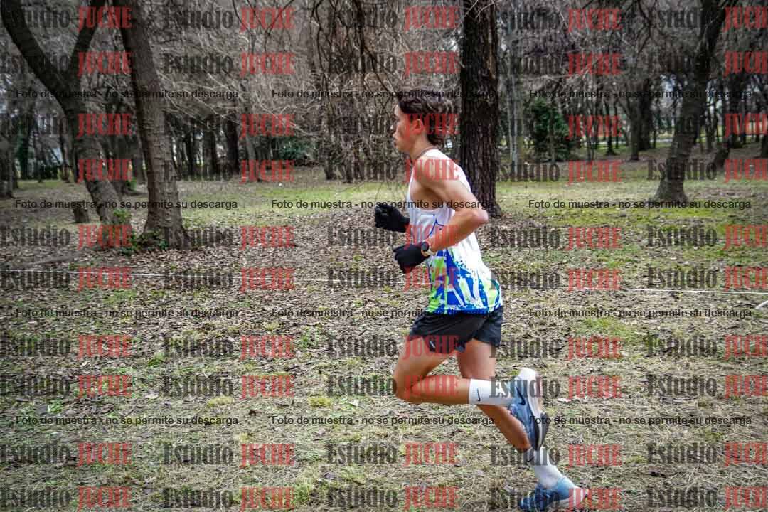 Fotos en el circuito