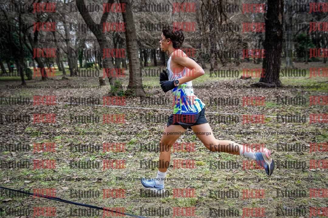 Fotos en el circuito